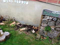 Nature learning at Leaps and Bounds Day Nursery