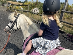 Learning to ride pony