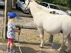 Washing the pony